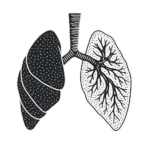 somatinis harmoningas kvepavimas